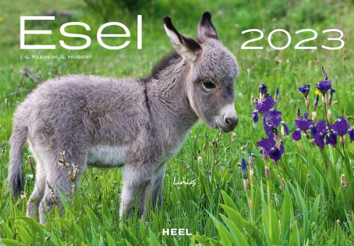 Kalender 2023_Esel_Heel Verlag_bei Serag AG