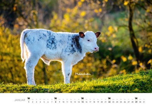 Kalender 2023_Tierkinder auf dem Bauernhof_Heel Verlag_bei Serag AG_1